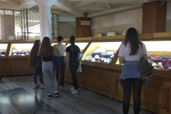 Asvanytani-muzeum2