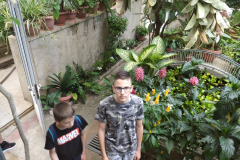 Zsibo10